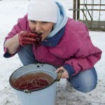 18 Zabijacka 14.12.2012