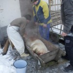 19 Zabijacka 14.12.2012